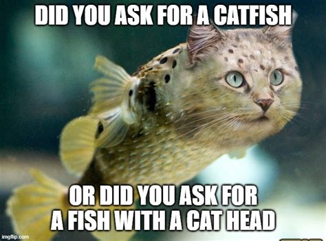 Jan 17, 2023 &0183;&32;Warp Up. . Catfish meme